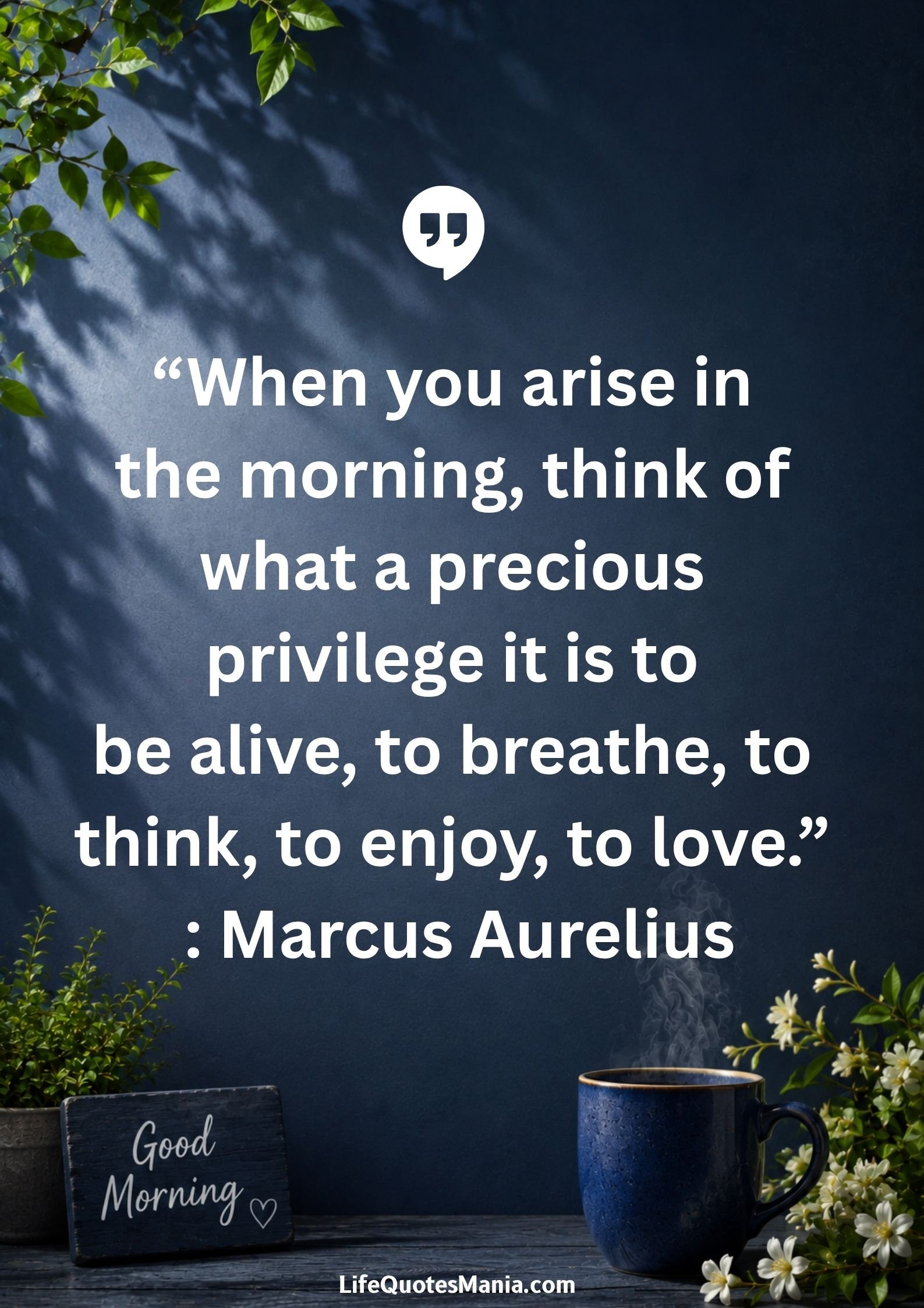 Good morning quotes and images - “When you arise in the morning, think of what a precious privilege it is to be alive, to breathe, to think, to enjoy, to love.” : Marcus Aurelius