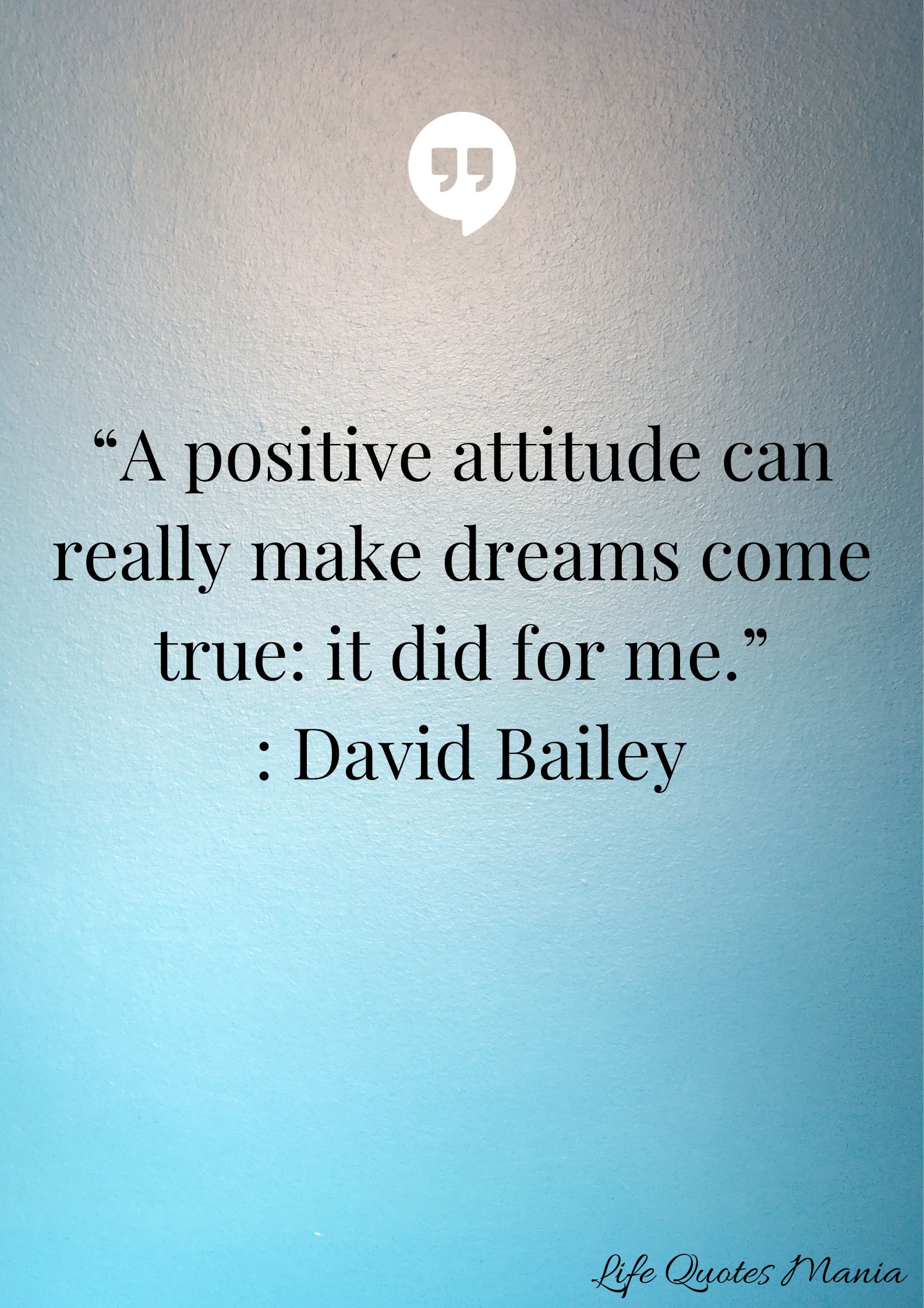 Attitude Quote - David Bailey