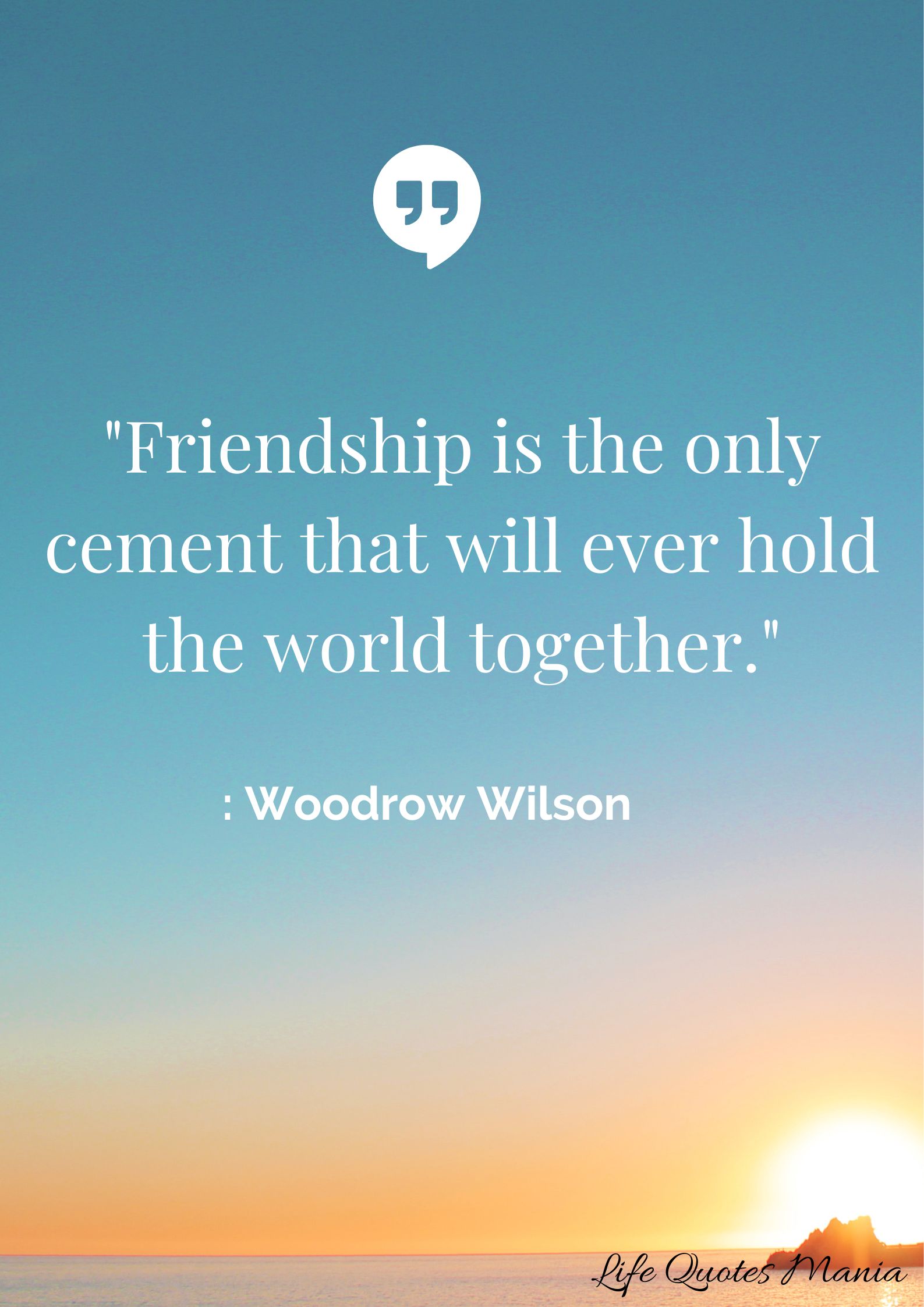 Friendship Quote - Woodrow Wilson