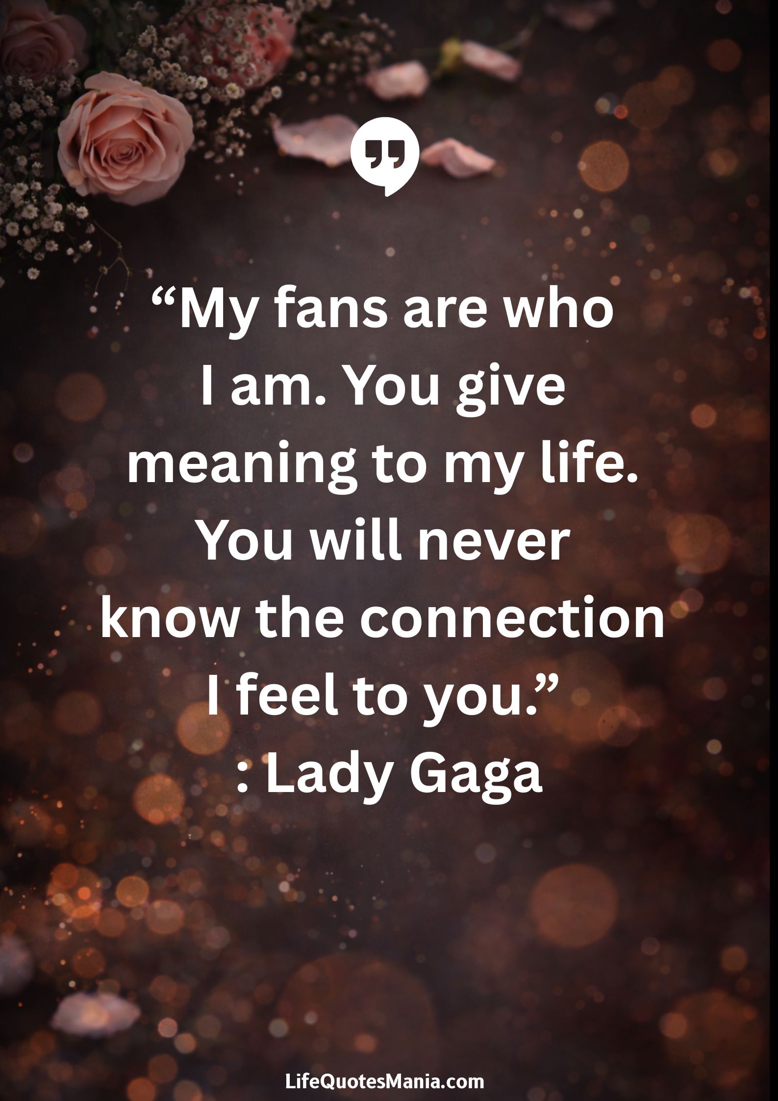 “My fans are who I am. You give meaning to my life. You will never know the connection I feel to you.” : Lady Gaga