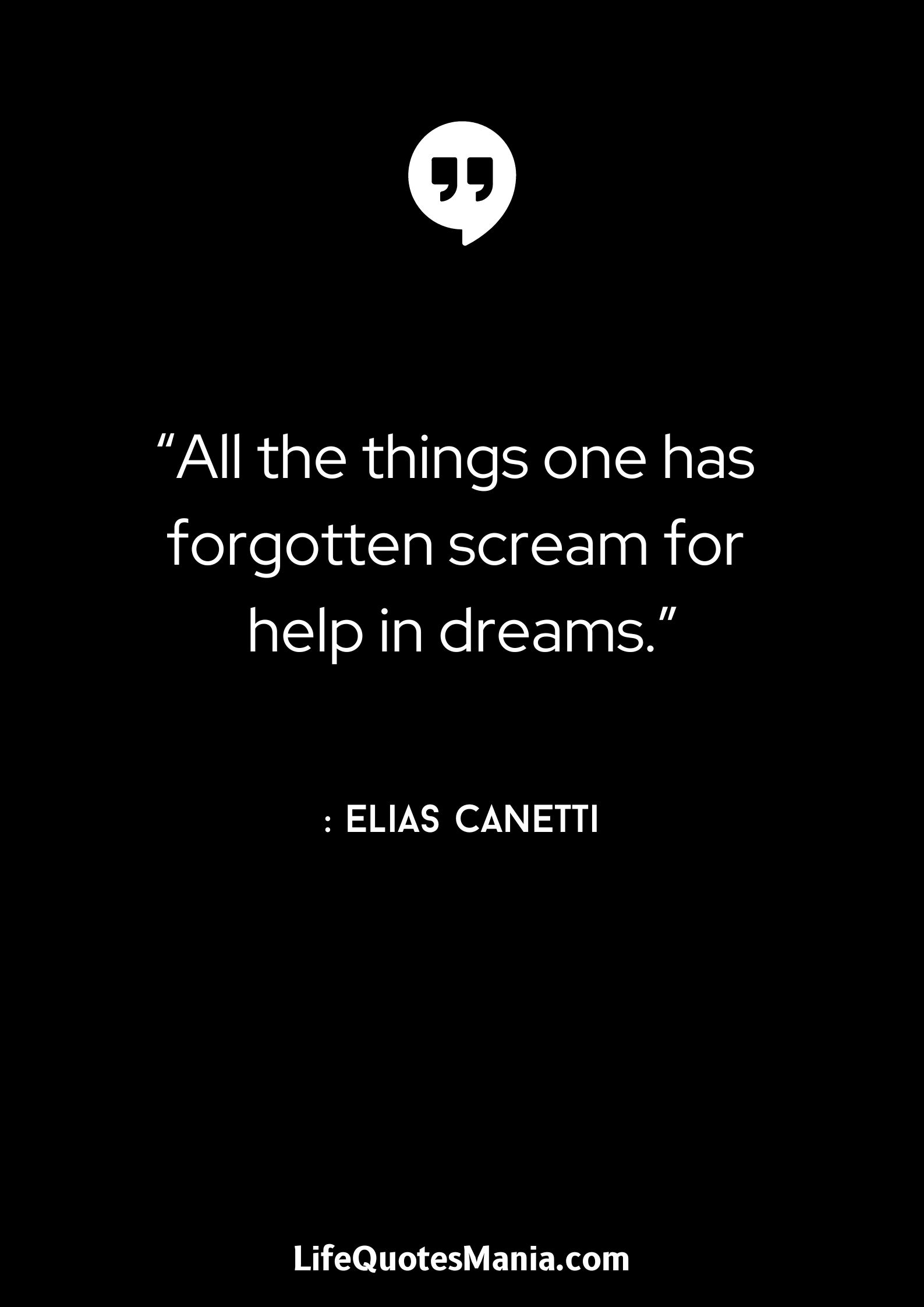 “All the things one has forgotten scream for help in dreams.” : Elias Canetti