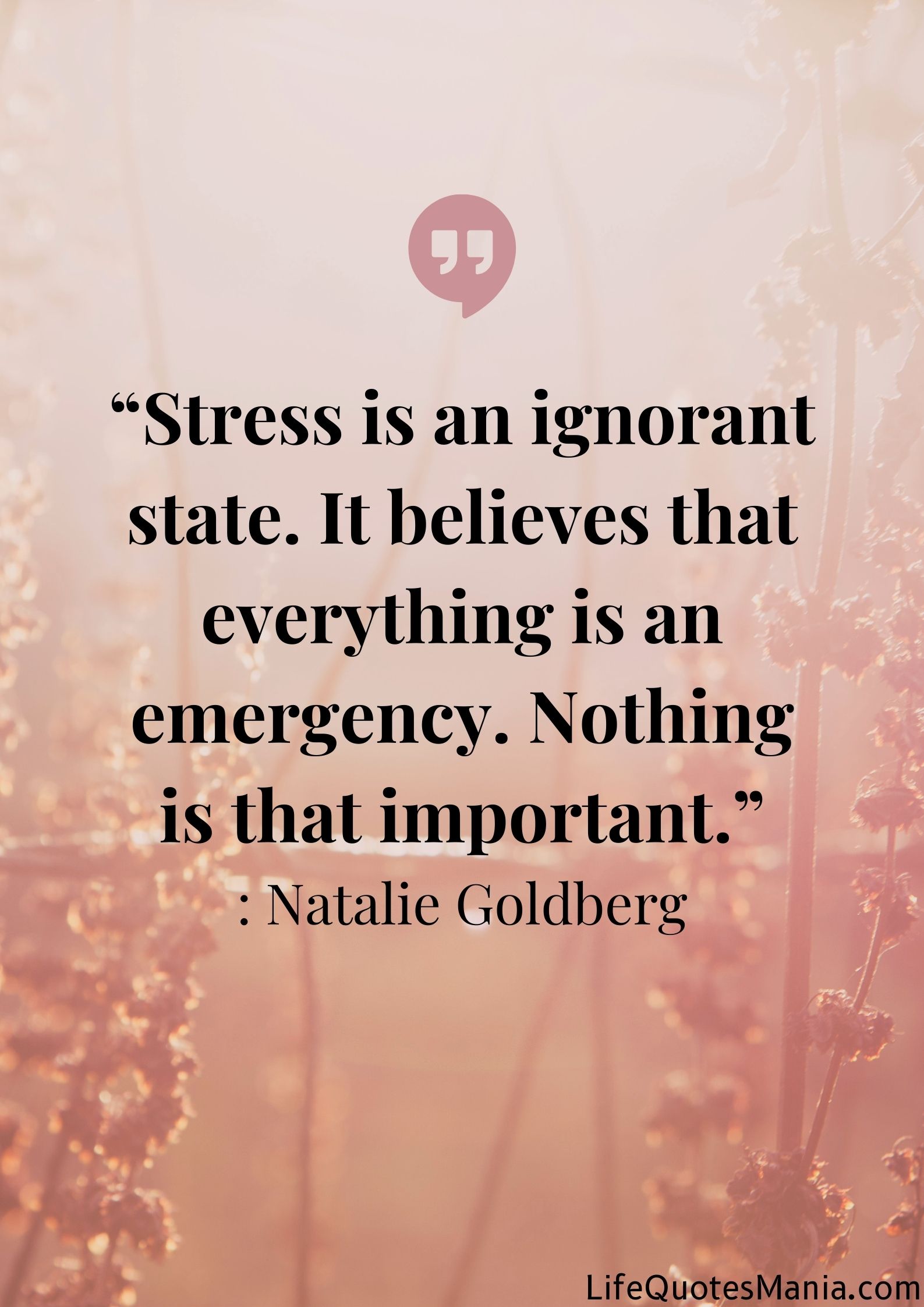 Anxiety Quotes - Natalie Goldberg