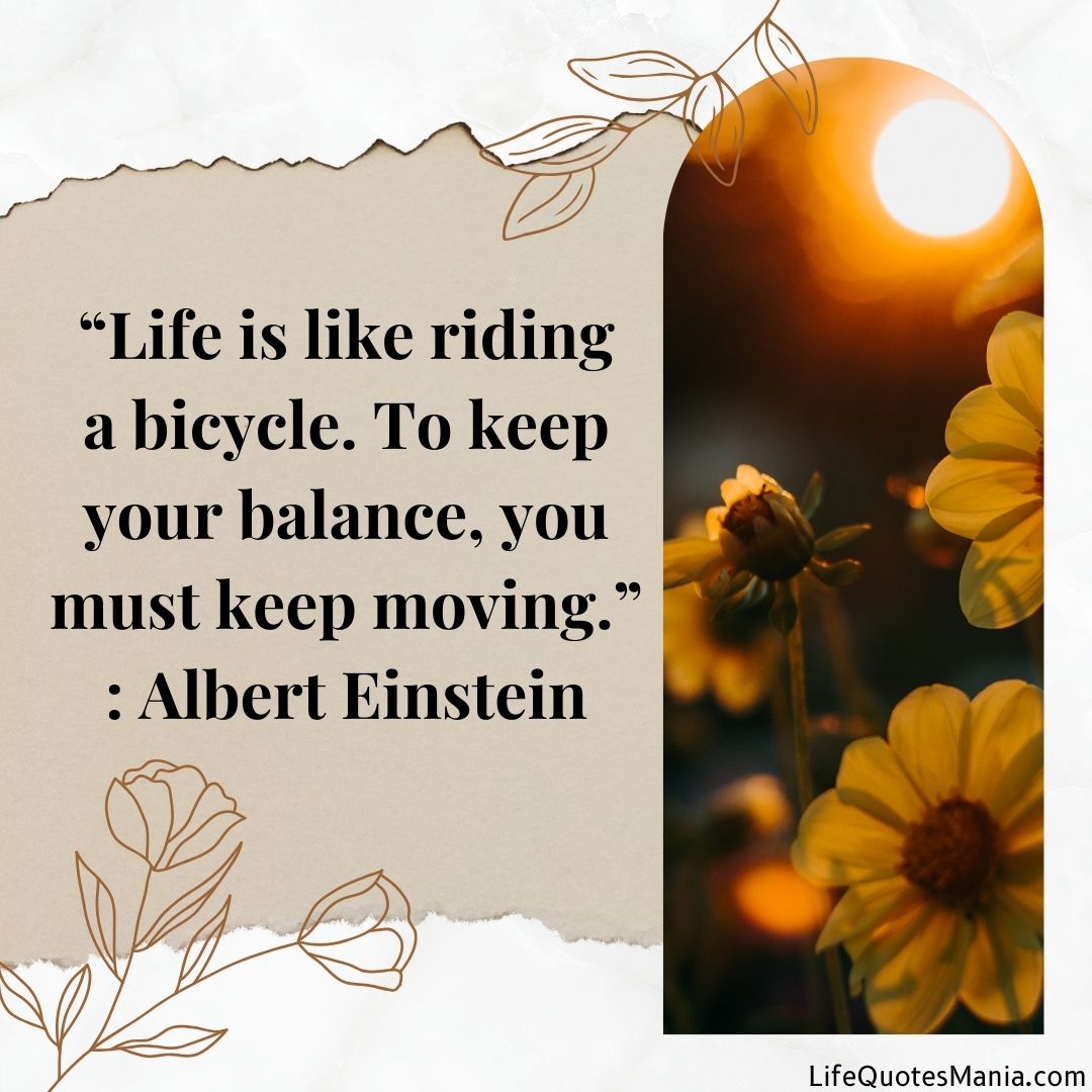 Quote Of The Day - Albert Einstein