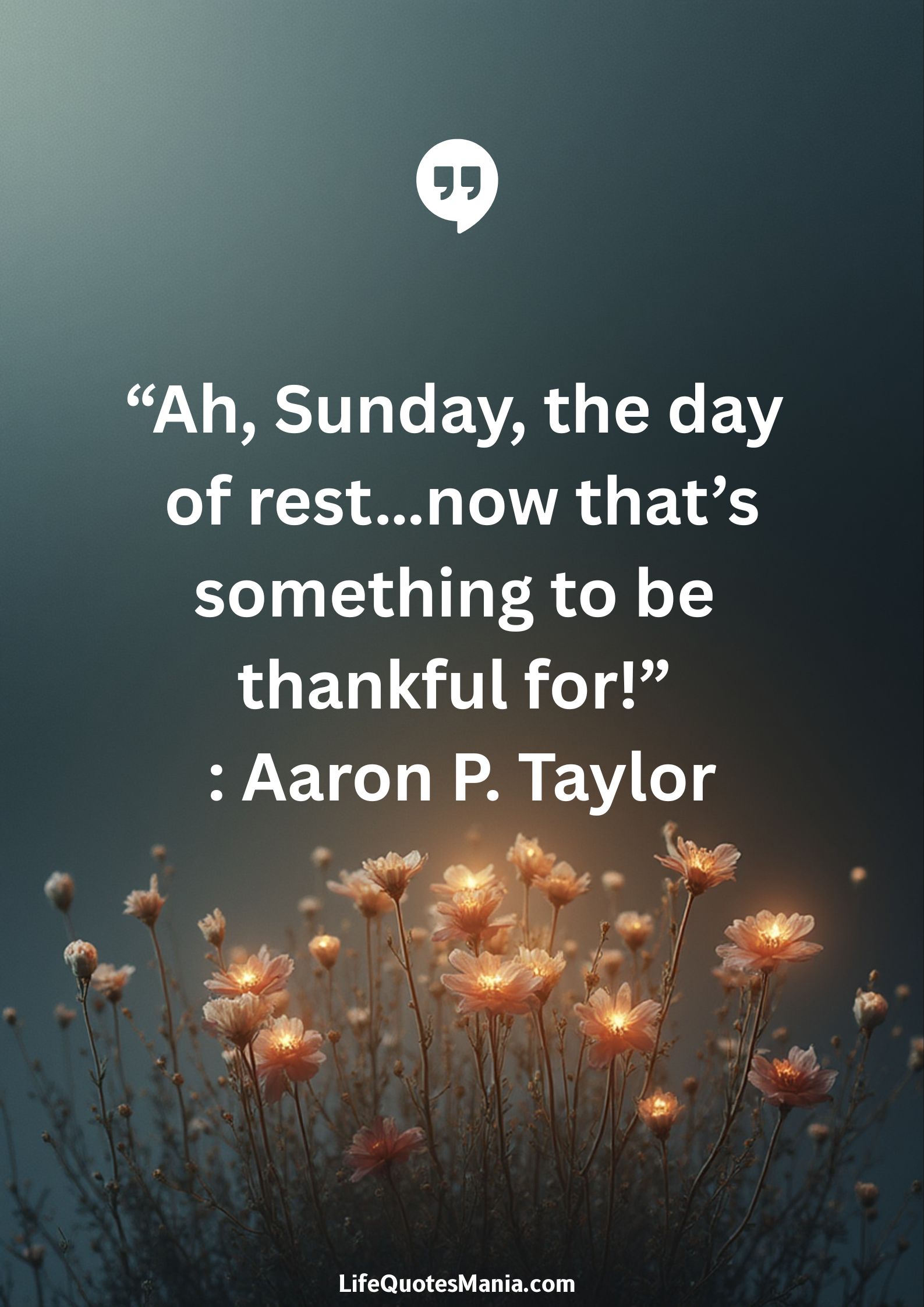 “Ah, Sunday, the day of rest…now that’s something to be thankful for!” : Aaron P. Taylor
