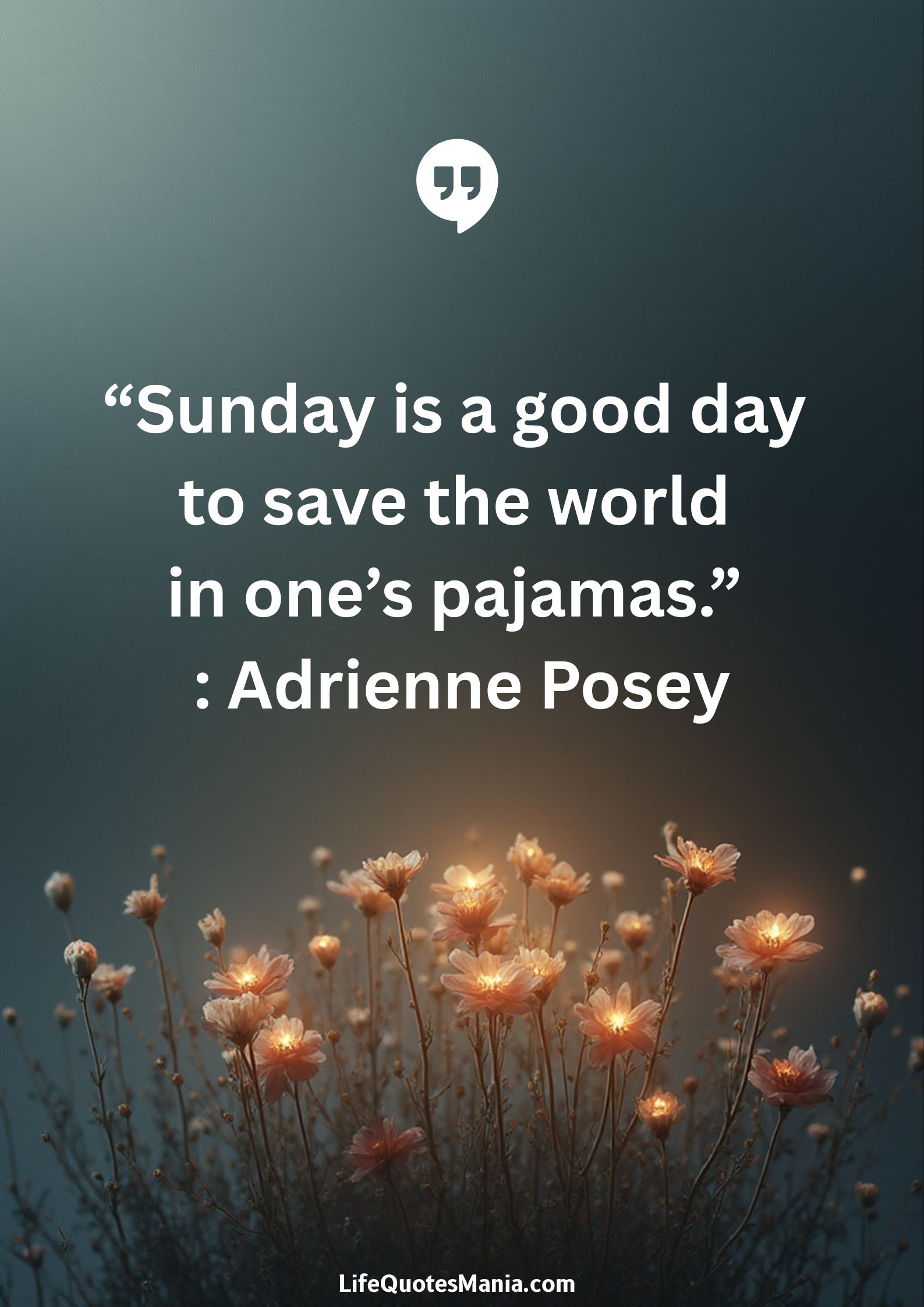 “Sunday is a good day to save the world in one’s pajamas.” : Adrienne Posey
