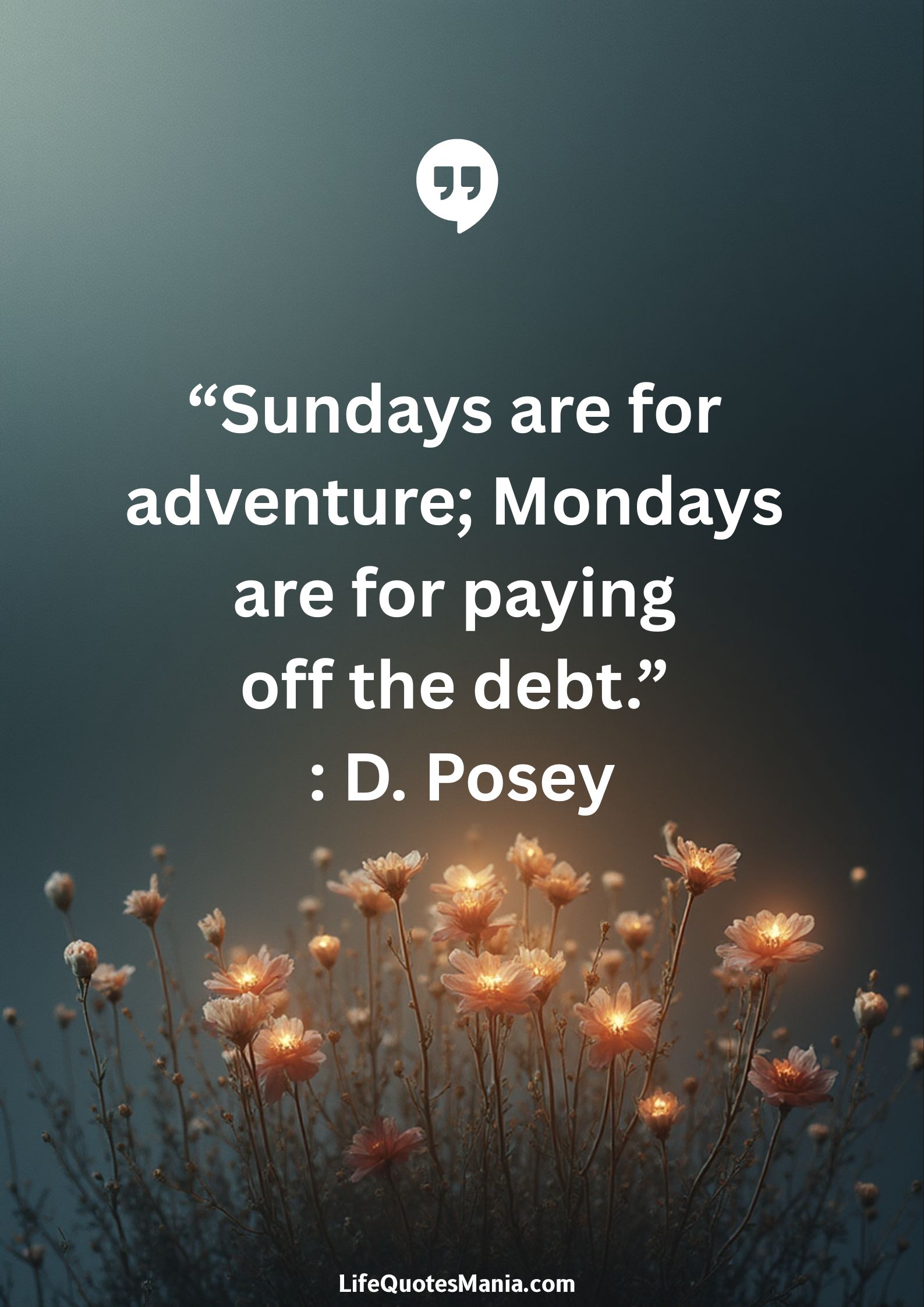 “Sundays are for adventure; Mondays are for paying off the debt.” : D. Posey